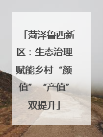 菏泽鲁西新区：生态治理赋能乡村“颜值”“产值”双提升