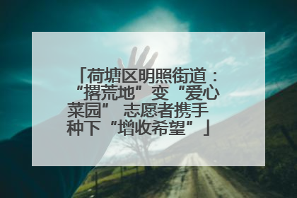 荷塘区明照街道：“撂荒地”变“爱心菜园” 志愿者携手种下“增收希望”