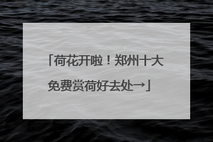 荷花开啦！郑州十大免费赏荷好去处→