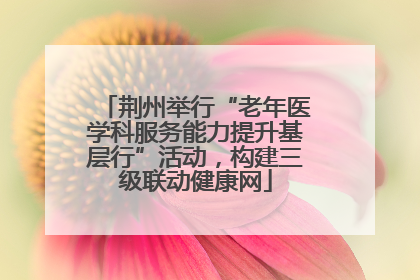 荆州举行“老年医学科服务能力提升基层行”活动，构建三级联动健康网