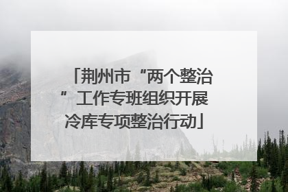 荆州市“两个整治”工作专班组织开展冷库专项整治行动