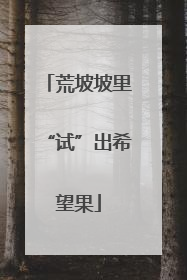 荒坡坡里“试”出希望果