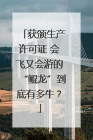 获颁生产许可证 会飞又会游的“鲲龙”到底有多牛？