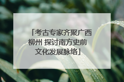 考古专家齐聚广西柳州 探讨南方史前文化发展脉络