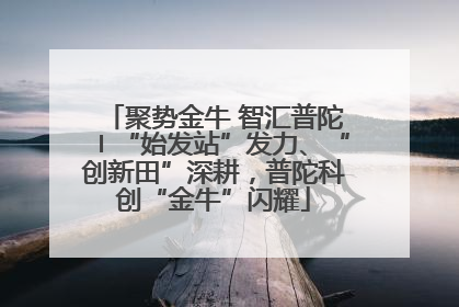 聚势金牛 智汇普陀〡“始发站”发力、“创新田”深耕，普陀科创“金牛”闪耀