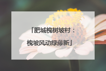 肥城槐树坡村：槐坡风动绿藤新
