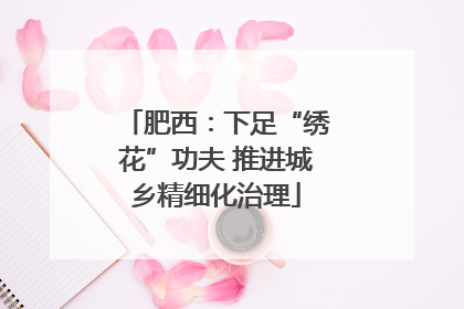 肥西：下足“绣花”功夫 推进城乡精细化治理