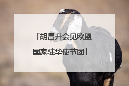 胡昌升会见欧盟国家驻华使节团