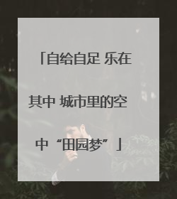 自给自足 乐在其中 城市里的空中“田园梦”