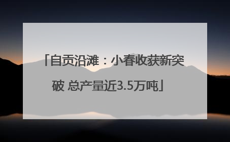 自贡沿滩：小春收获新突破 总产量近3.5万吨
