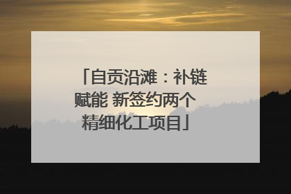 自贡沿滩：补链赋能 新签约两个精细化工项目