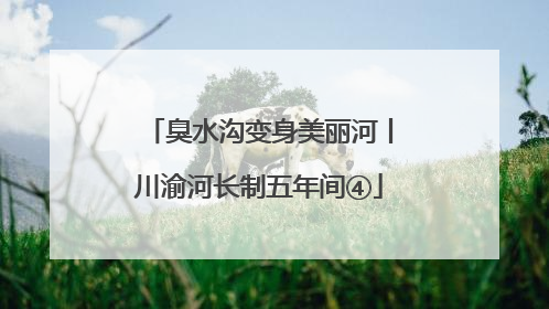 臭水沟变身美丽河丨川渝河长制五年间④