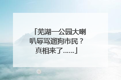 芜湖一公园大喇叭辱骂遛狗市民？真相来了……