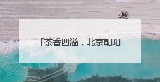 茶香四溢，北京朝阳开启国际茶香文化周