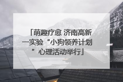 萌趣疗愈 济南高新一实验“小狗领养计划”心理活动举行