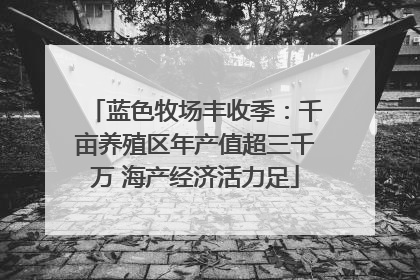 蓝色牧场丰收季：千亩养殖区年产值超三千万 海产经济活力足