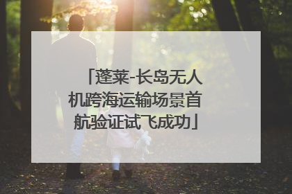 蓬莱-长岛无人机跨海运输场景首航验证试飞成功