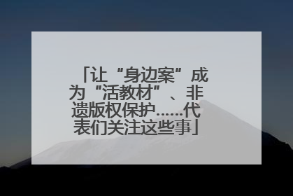 让“身边案”成为“活教材”、非遗版权保护……代表们关注这些事