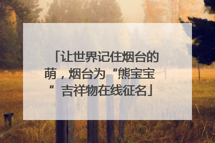 让世界记住烟台的萌，烟台为“熊宝宝”吉祥物在线征名