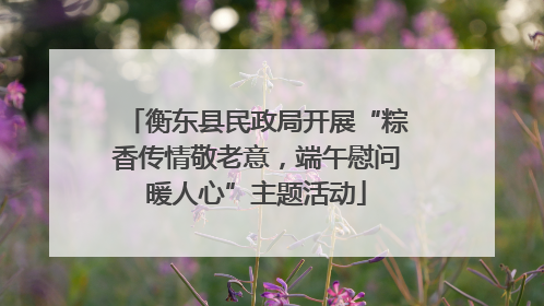 衡东县民政局开展“粽香传情敬老意，端午慰问暖人心”主题活动