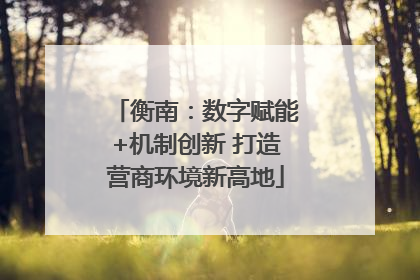 衡南：数字赋能+机制创新 打造营商环境新高地