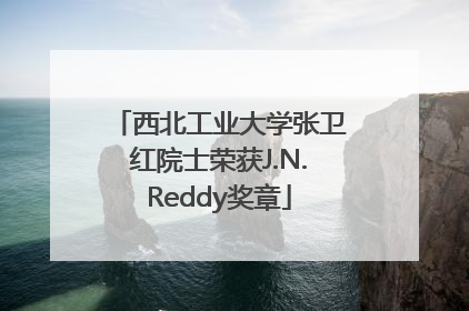 西北工业大学张卫红院士荣获J.N.Reddy奖章