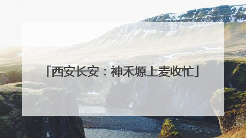 西安长安：神禾塬上麦收忙
