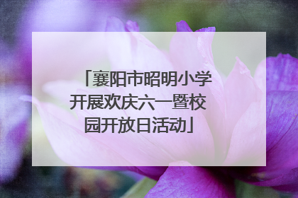襄阳市昭明小学开展欢庆六一暨校园开放日活动