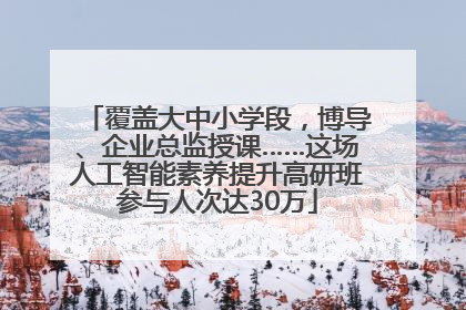 覆盖大中小学段，博导、企业总监授课……这场人工智能素养提升高研班参与人次达30万
