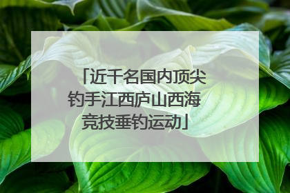 近千名国内顶尖钓手江西庐山西海竞技垂钓运动