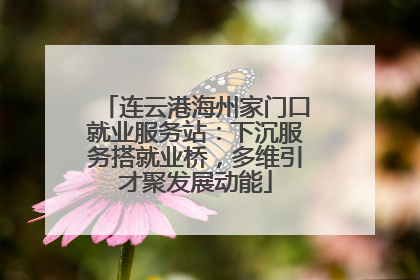 连云港海州家门口就业服务站：下沉服务搭就业桥，多维引才聚发展动能