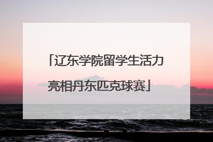 辽东学院留学生活力亮相丹东匹克球赛