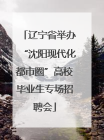 辽宁省举办“沈阳现代化都市圈”高校毕业生专场招聘会