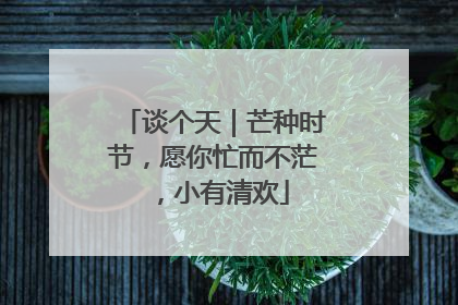 谈个天｜芒种时节，愿你忙而不茫，小有清欢