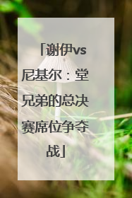 谢伊vs尼基尔：堂兄弟的总决赛席位争夺战