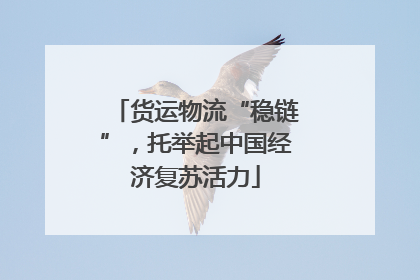 货运物流“稳链”，托举起中国经济复苏活力