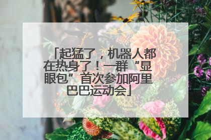 起猛了，机器人都在热身了！一群“显眼包”首次参加阿里巴巴运动会