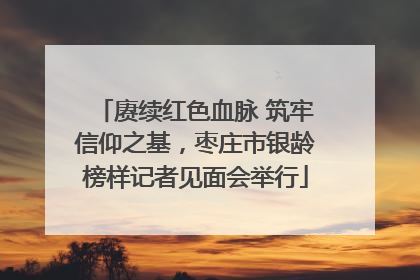 赓续红色血脉 筑牢信仰之基，枣庄市银龄榜样记者见面会举行