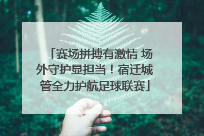 赛场拼搏有激情 场外守护显担当！宿迁城管全力护航足球联赛