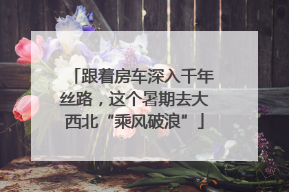 跟着房车深入千年丝路，这个暑期去大西北“乘风破浪”