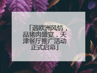 遇欧洲风情，品猪肉盛宴，天津餐厅推广活动正式启幕