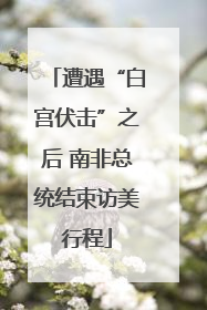 遭遇“白宫伏击”之后 南非总统结束访美行程