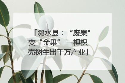 邻水县：“废果”变“金果” 一棵枳壳树生出千万产业