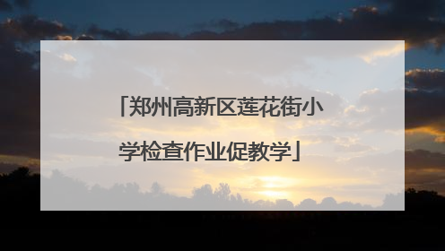 郑州高新区莲花街小学检查作业促教学