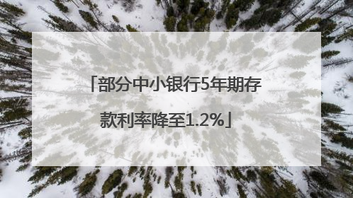 部分中小银行5年期存款利率降至1.2%