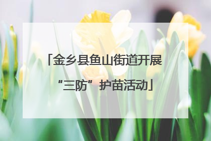 金乡县鱼山街道开展“三防”护苗活动