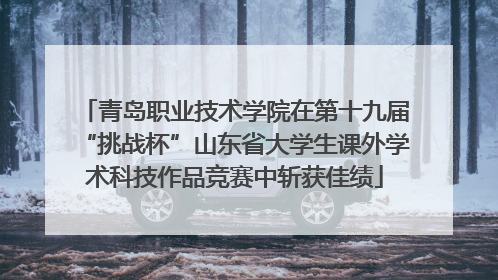 青岛职业技术学院在第十九届“挑战杯”山东省大学生课外学术科技作品竞赛中斩获佳绩