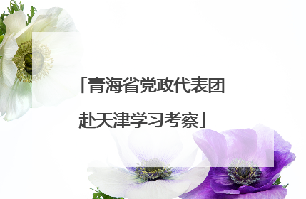 青海省党政代表团赴天津学习考察