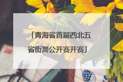 青海省首届西北五省街舞公开赛开赛