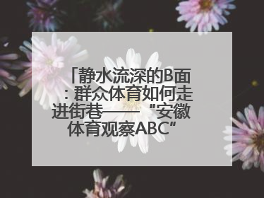 静水流深的B面：群众体育如何走进街巷——“安徽体育观察ABC”系列报道之二